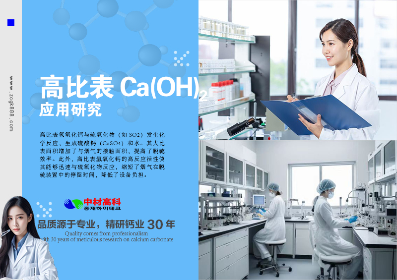 高(gāo)比表氫氧化(huà)鈣